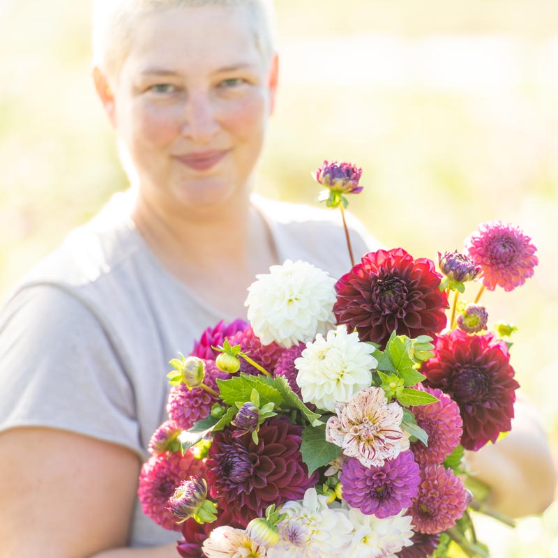 
                  
                    emily holding bouquet of berry juicy dahlias at grounded flower farm
                  
                
