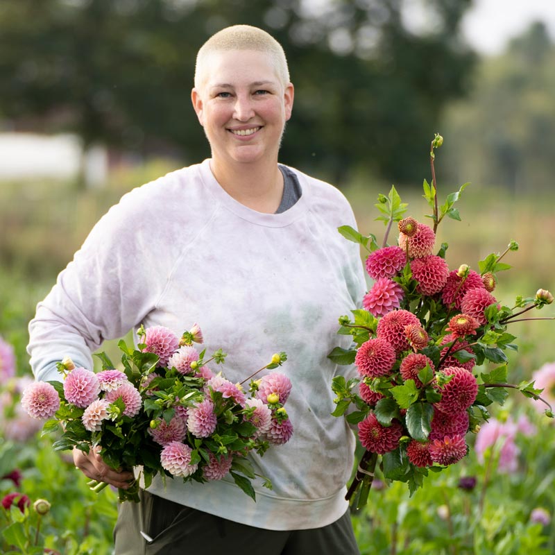 
                  
                    person holding dahlia bouquets from grounded flower farms
                  
                